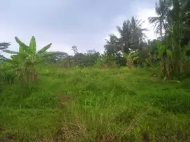 Tanah datar nempel jalan mobil dan dekat kali air subur