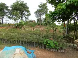 TANAH KERAS STRATEGIS LOKASI BISNIS SAKO SUMATERA SELATAN
