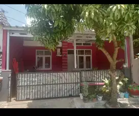 jual cash perum griya Cileungsi 5 depan taman 3 kmr TDR hrga 300jta
