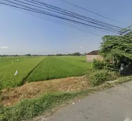 Tanah Murah Strategis di Jalan Raya Wonosari Pakis Klaten Solo
