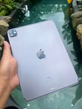 Ipad pro gen 2 A2230 wifi cellular 256