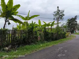 Tanah view laut glagah licin Banyuwangi