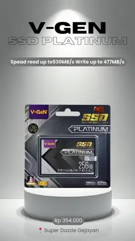 V-GEN SSD SATA PLATINUM 256GB