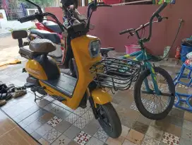 Sepeda listrik Pasific Skeleton 5.0