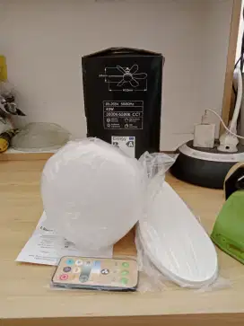 FLOWER FAN LIGHT