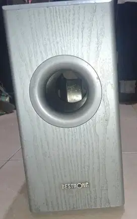 Speaker subwoofer pasif 12inc merk bestrong