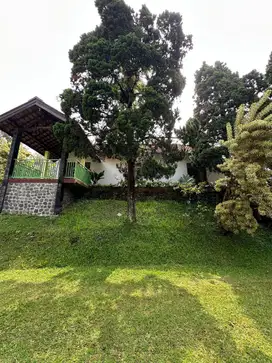 Dijual Villa Cantik Trawas Luas Cantik Lokasi Strategis Mojokerto
