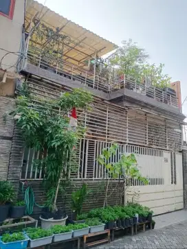 Rumah Dijual Di Karang Empat Lokasi Dekat Ke mana mana