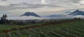 tanah view bagus