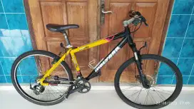 Polygon xtrada premium (Lawasan)