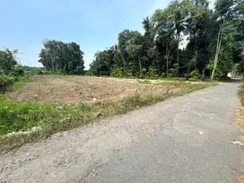 Prospek Investasi, Tanah Sleman Jogja Ring 1 Kampus