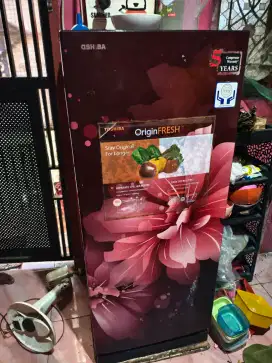 Lulkas satu pintu freon nya ajah tinggal ganti
