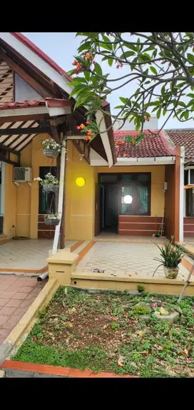 Disewa Segera Rumah Sutera Jelita, Alam Sutera