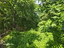 Tanah Los Pantai Strategis Sentral Tulamben Bali Cocok Resort