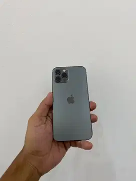 IPHONE 12PRO 256GB ALL OPERATOR TERDAFTAR BEACUKAI