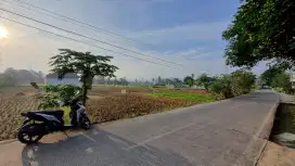 JUAL TANAH PINGGIR JALAN 300M² Lokasi Karang Tengah Cianjur