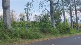 Tanah kebun di 0 Jl Ngembal Tutur dekat Wisata Bhakti Ala.
