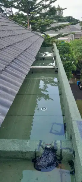 Waterproofing dak rembes