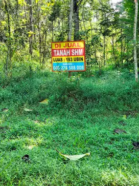 Di Jual Tanah Pekarangan