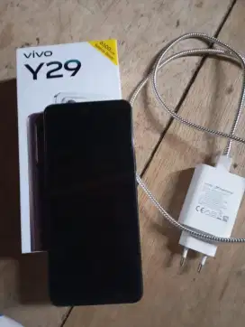 Vivo y29 ram 6+6 / 128