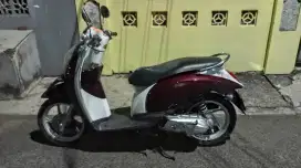 honda scoopy 2011