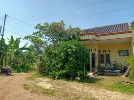 Disewakan rumah 3 kamar tidur
