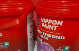 Cat Nippon paint