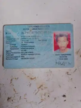 Assalamualaikum Saya butuh lowongan kerja sopir pribadi dan kantor
