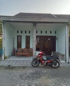Lowongan kerja cewek serabutan