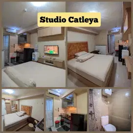 Studio Catleya ready unit Bassura city