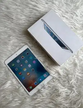 Ipad Mini 1st generation