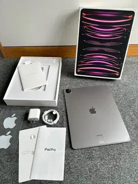 Ipad Pro 12.9 M2 256GB Celluler + WiFi Super Like New ULTRA RARE