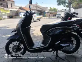 Honda Genio 2019