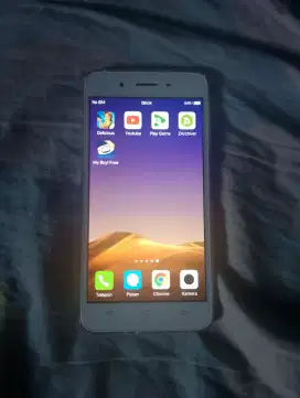 Hp Vivo y55 refurbish