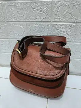 Fossil Feyton small