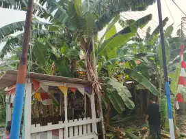 Di jual tanah luas 7.5 ×15 surat petok C lokasi lebo Sidoarjo