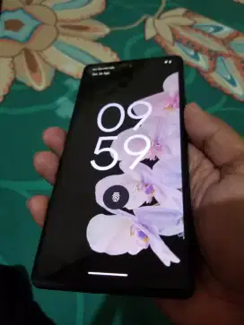 google pixel 6 8/128