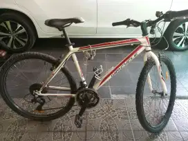Sepeda Wim Cycle RoadCamp 18 Inch putih