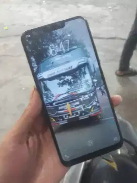 Vivo lupa sandi