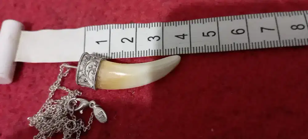 Kalung dan liontin pria ukuran kecul