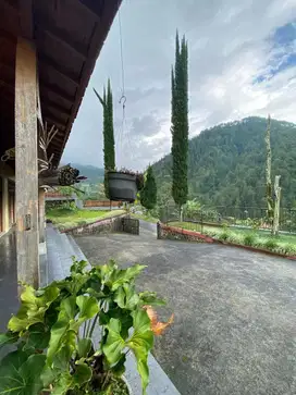 JUAL TANAH LUAS 1000 M2 BUAT VILLA KEMUNING TAWANGMANGU KARANGANYAR