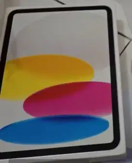 Apple Ipad A16 (Wifi)