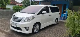 ALPHARD S CBU PREMIUM SOUND