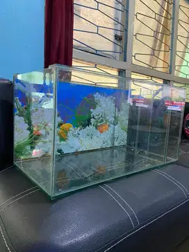 Akuarium Aquarium Ukuran 60 x 30 Kondisi bekas