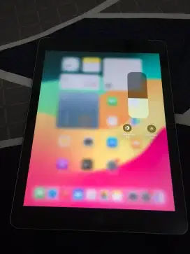 Ipad Generasi 6 (2018) 32GB Wi-Fi Only