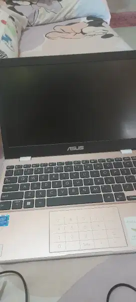 Laptop Asus free printer
