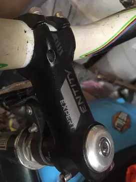 Stem Entity expert 8cm