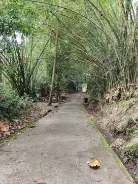 Dijual tanah di kawasan nyitdah kediri tabanan bali. 