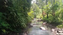 Dijual tanah kebun view sawah dan los sungai di tabanan bali