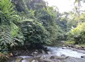 Dijual tanah los air terjun murah di area pariwisata